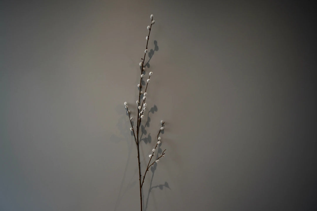 Luxury Artificial Pussy Willow Stem Claire De Fleurs