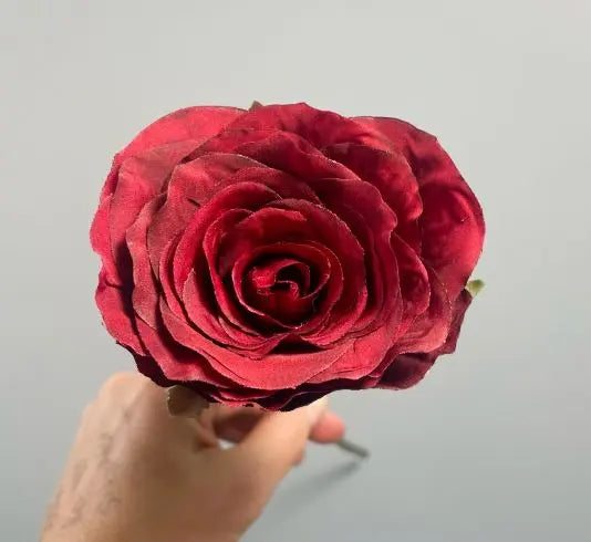 Single Red Rose Claire De Fleurs